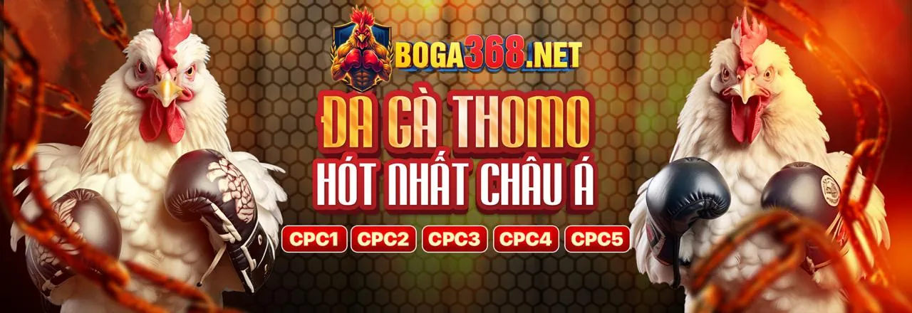 Tổng quan về các phương thức thanh toán an toàn và đa dạng tại hipclub casino